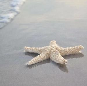 Meet your Posher, Marga